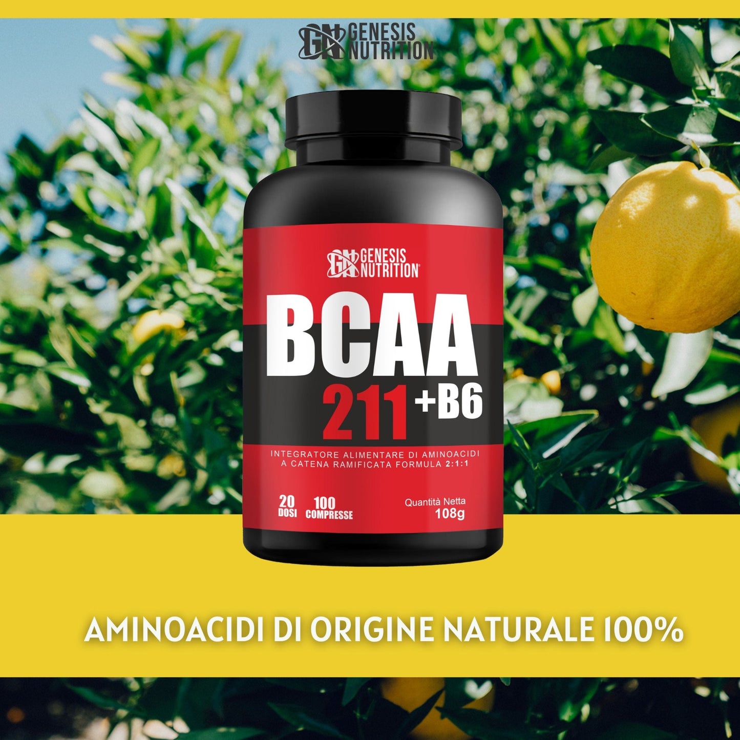 Bcaa Aminoacidi Ramificati in compresse