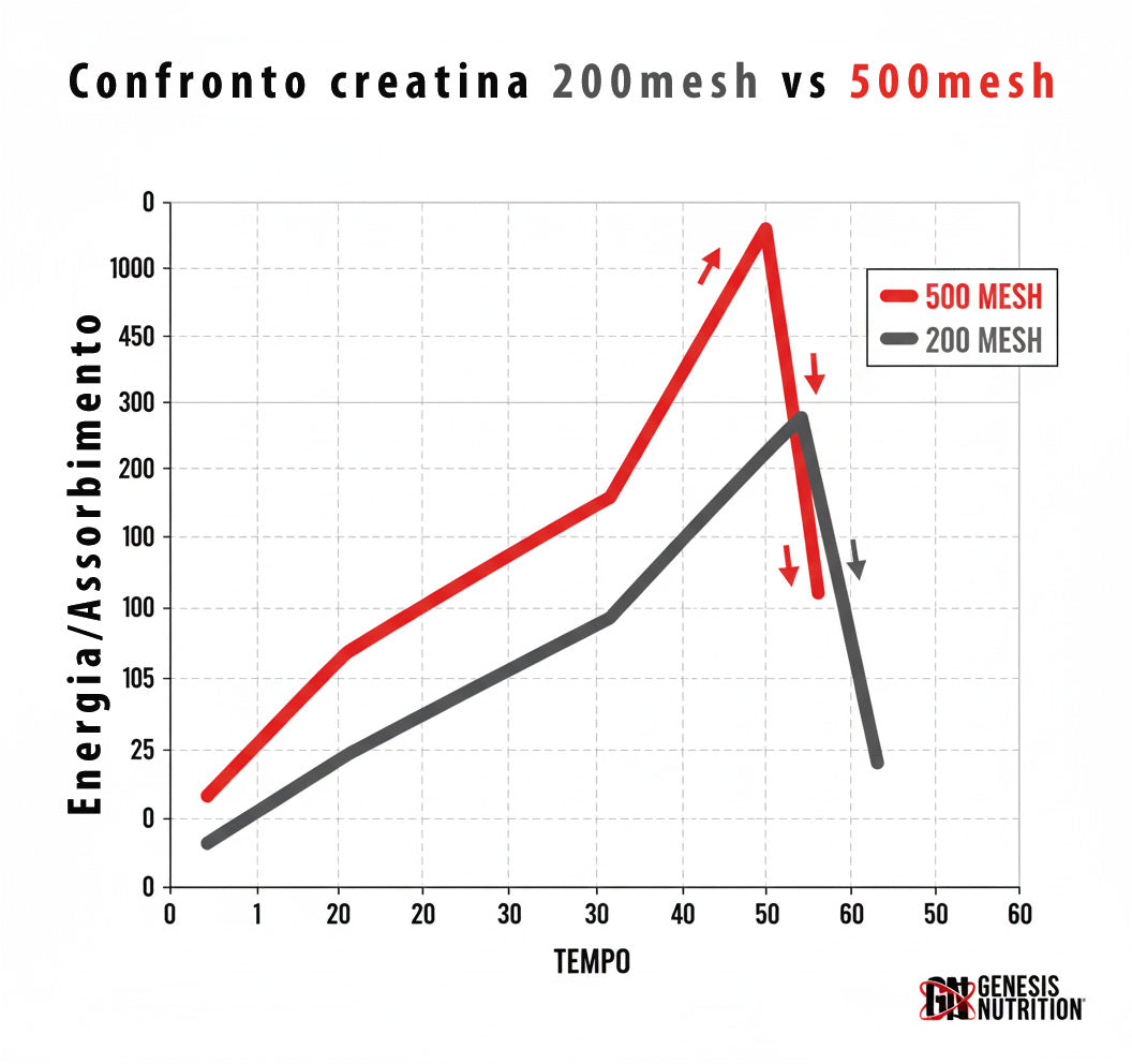 Creatina monoidrato 500 mesh - Genesis Nutrition