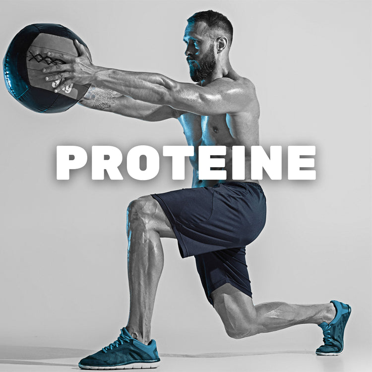 PROTEINE