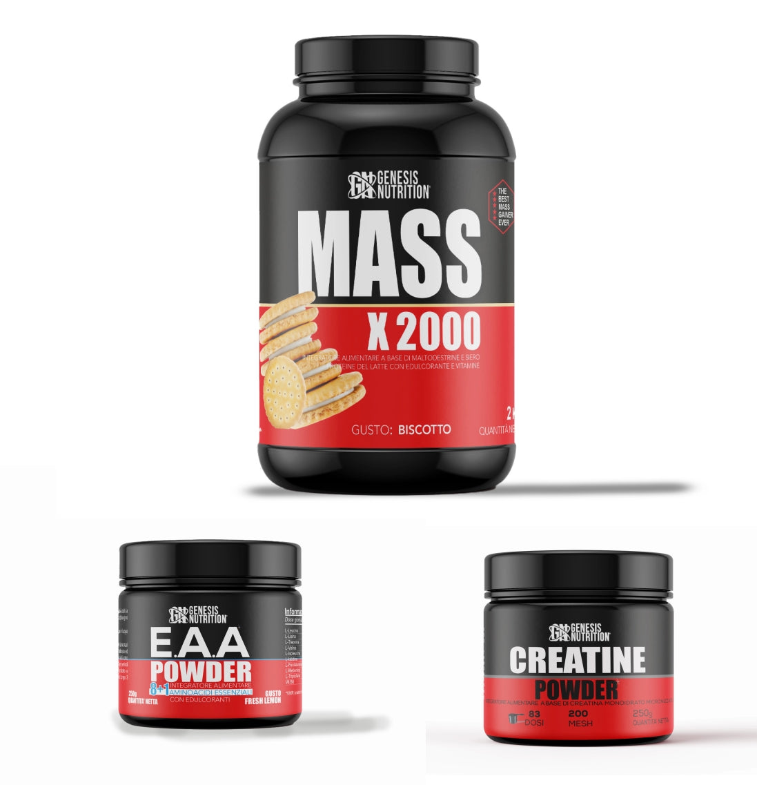KIT MASSA GENESIS