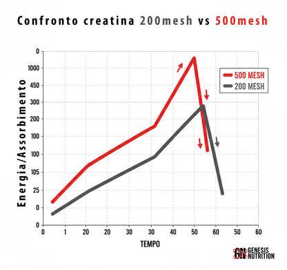 Creatine 500 mesh